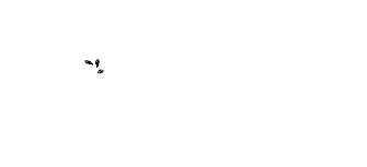 Genuine-Orders-Logo-White